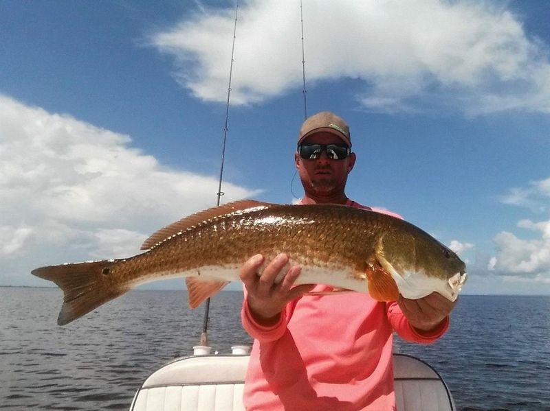 Crystal River Florida Fishing Charters | 6 Hour Scallop Adventure